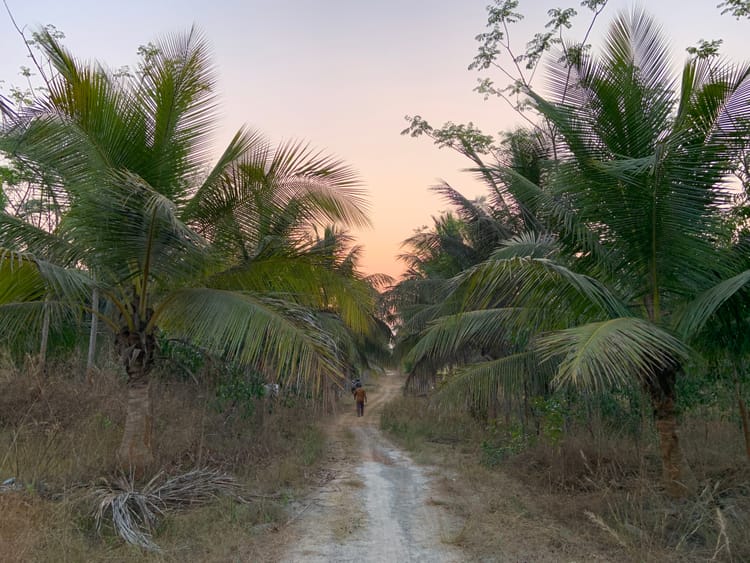 South India